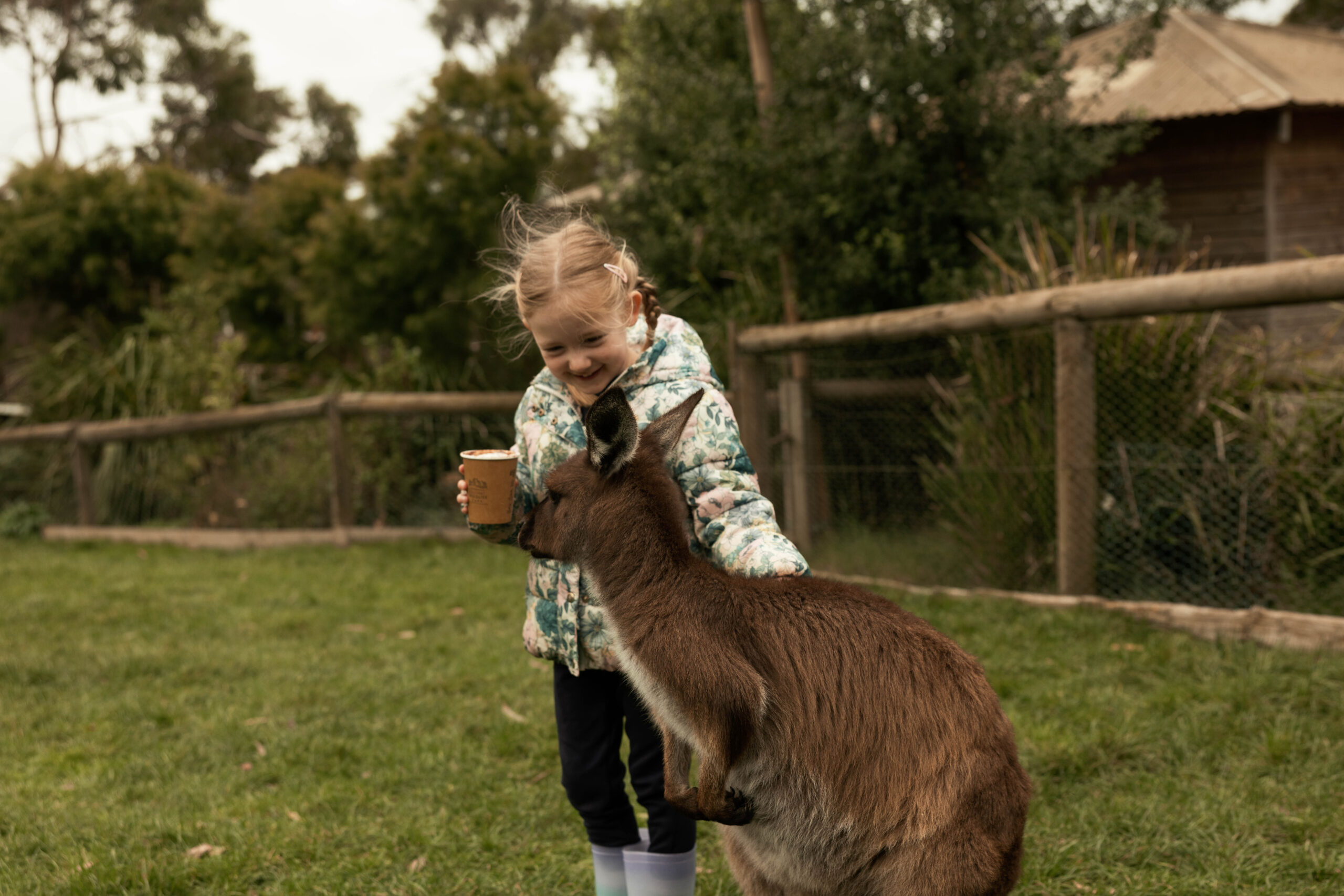 Vanilla Bean Banjo Hot Chocolate at Ballarat Wildlife Park image